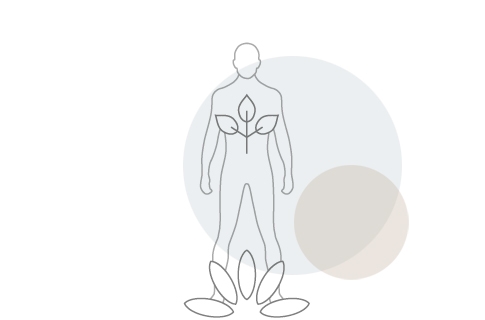 Pflanzenheilkunde - Leistungen von Julia Schwackhöfer, Praxis für Naturheilkunde und Microkinesitherapie