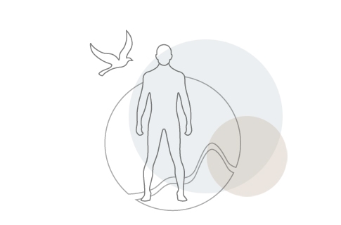 Psychologische Beratung und Coaching - Leistungen von Julia Schwackhöfer, Praxis für Naturheilkunde und Microkinesitherapie